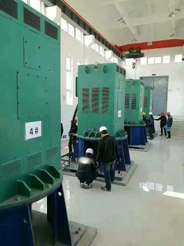 YKK6301-10某污水处理厂使用我厂的立式高压电机安装现场